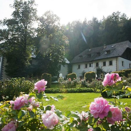 Penzl 9 Bed & Breakfast Longostagno Eksteriør bilde